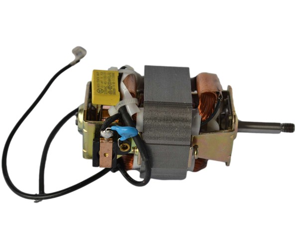 5421M23 AC Series Motor