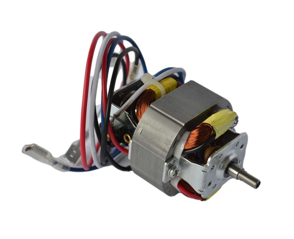 5420 AC Series Motor